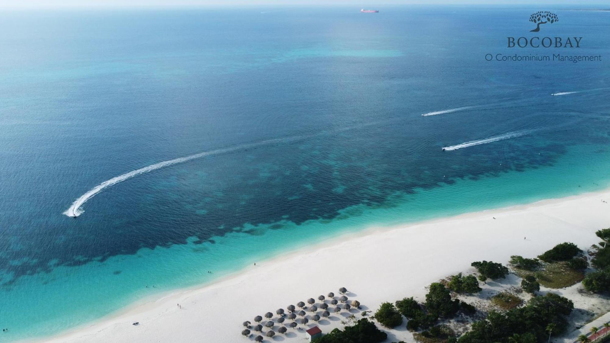 O Condominium Beachfront Residences, By Bocobay Aruba Palm Beach Exteriör bild