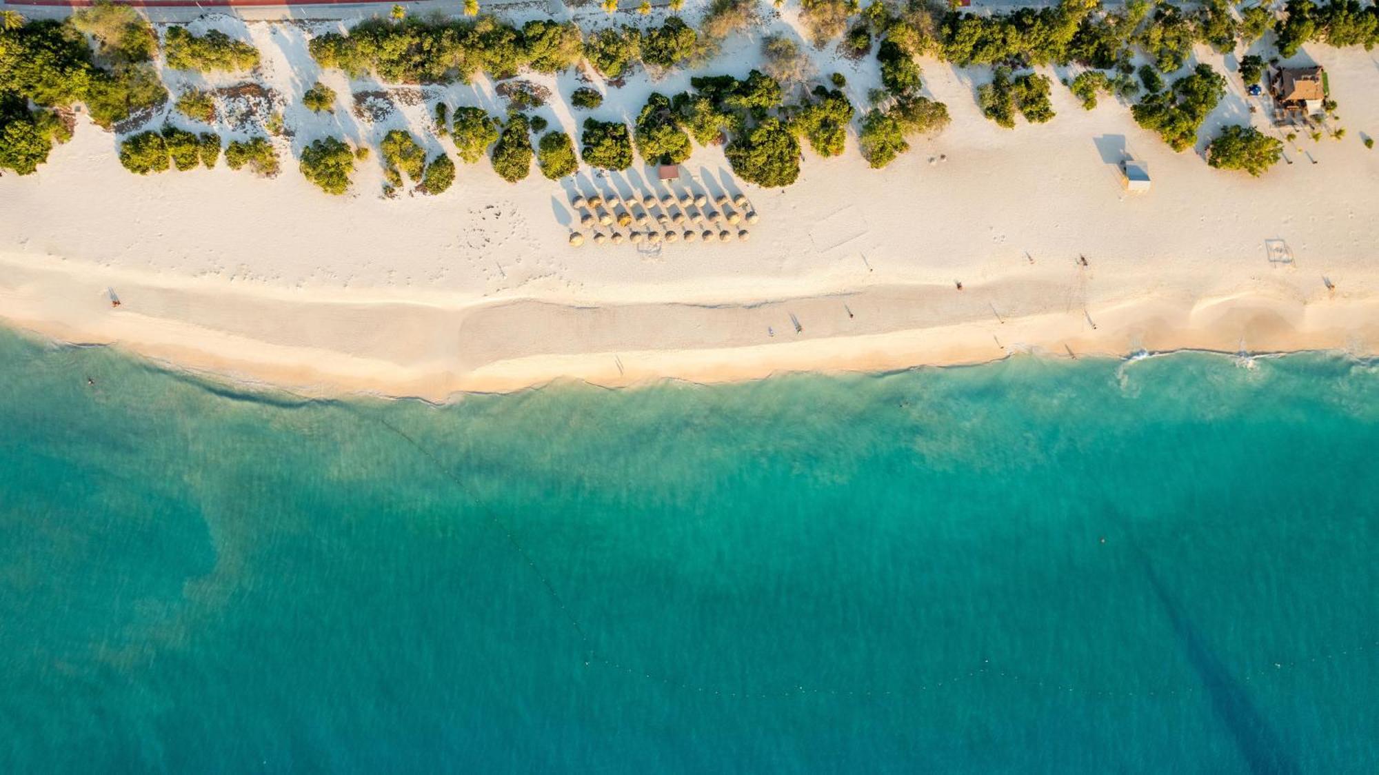 O Condominium Beachfront Residences, By Bocobay Aruba Palm Beach Exteriör bild